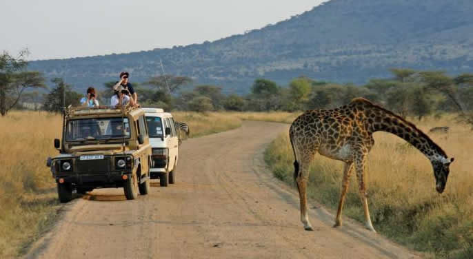 driving to Murchison falls park