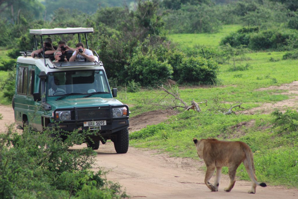 Murchison falls safari adventure